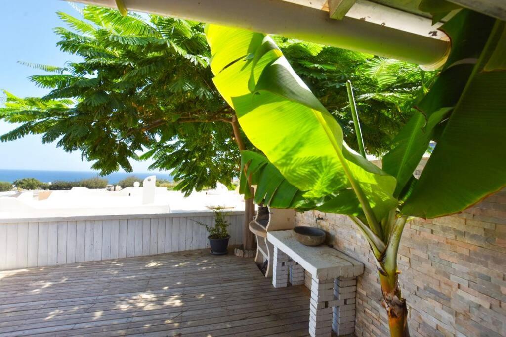 Appartamento Book Jet - Costa Calma Blue Ocean Dream Terrace Esterno foto